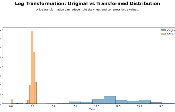 Log Transformation: Assumption Fix, SPSS, Python, R and Excel Guide guide image