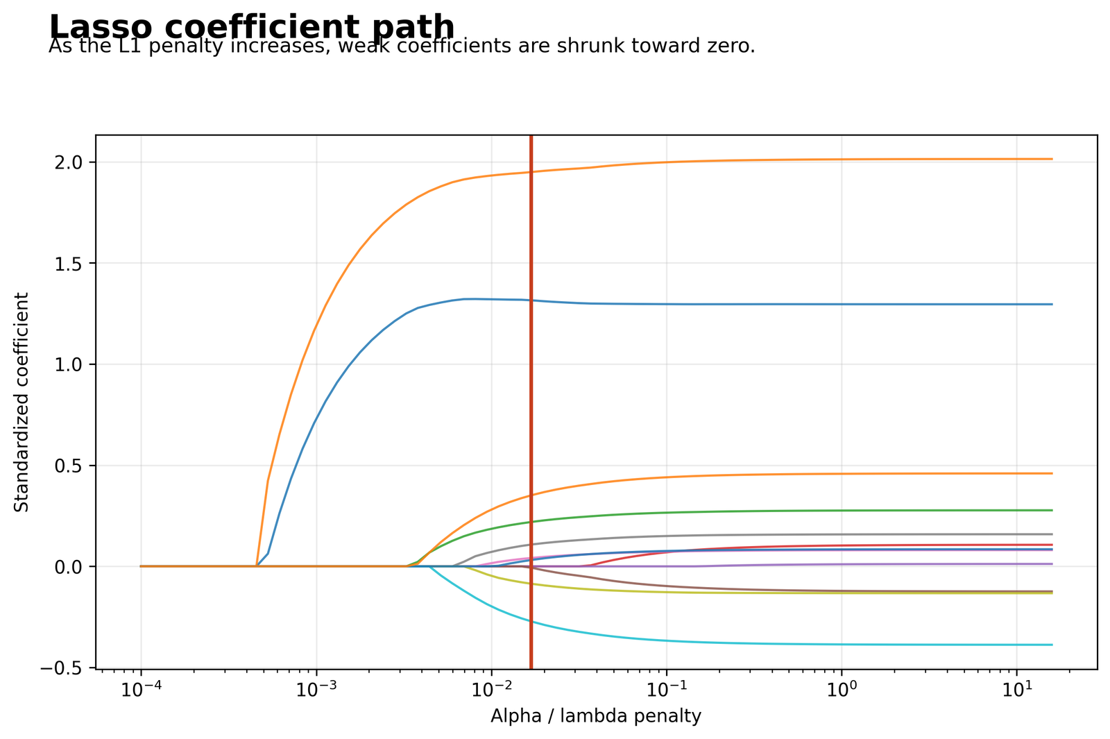 Lasso Regression coefficient path showing standardized coefficients across alpha values