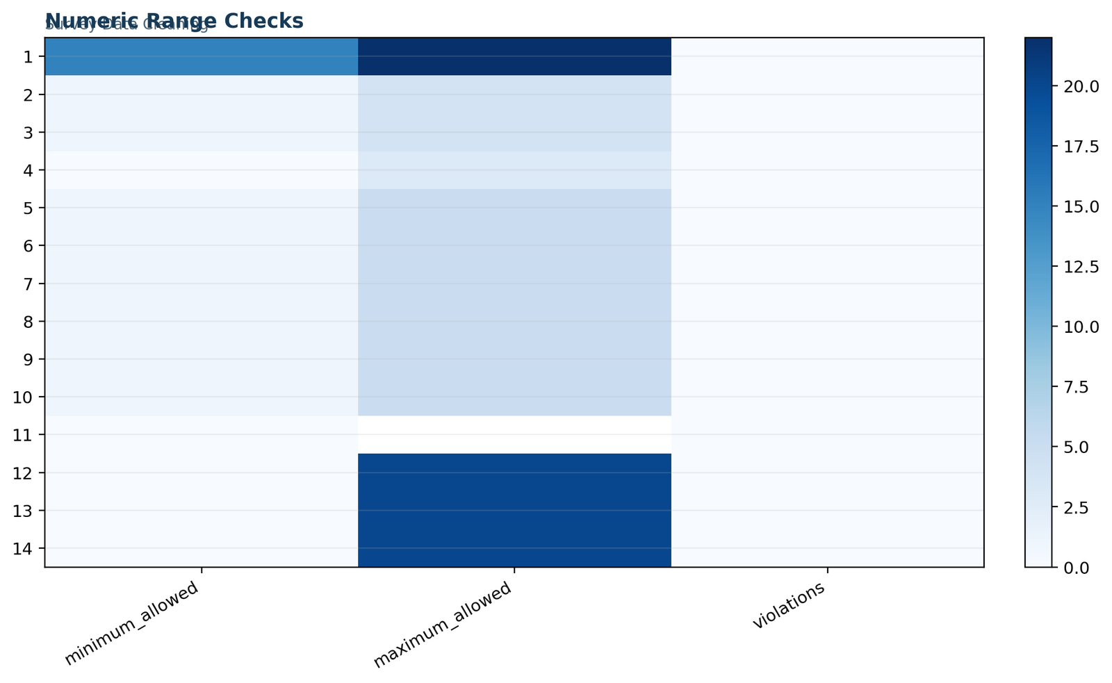 Survey Data Cleaning: Category-label audit